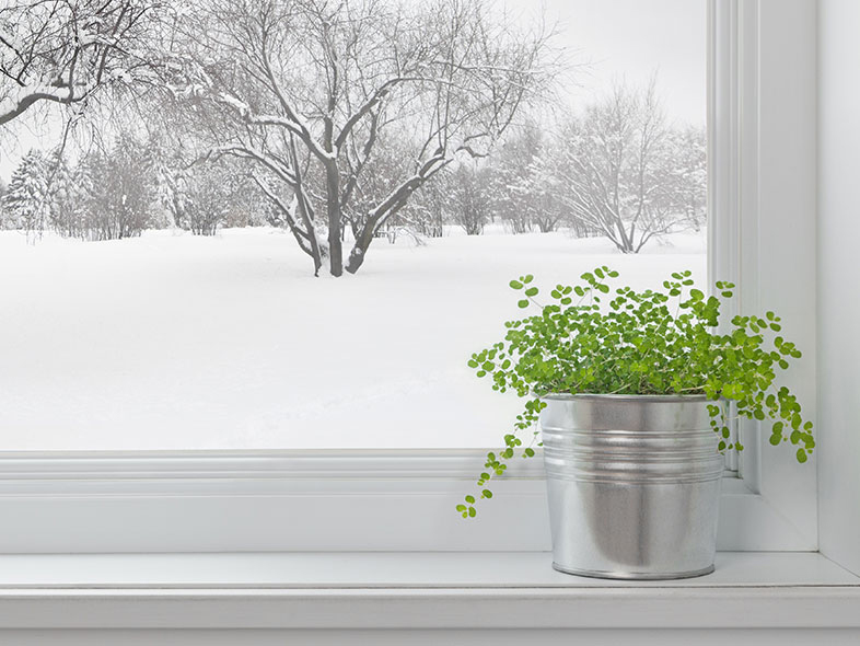The importance of windows in preventing energy loss and proposing a basic solution